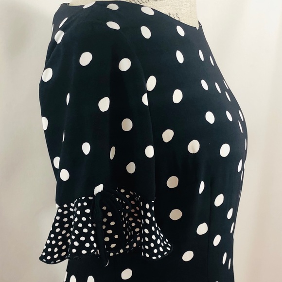 HOST PICK 🎊NWT TALBOTS POKA DOT DRESS - Picture 3 of 7